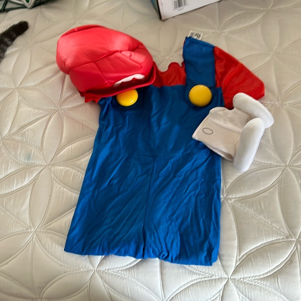 Mario bros costume